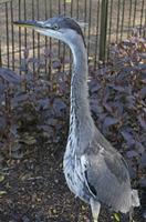 Cjp_2015_04_29_154022 (2).jpg